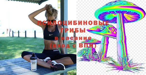 a pvp Абаза