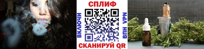 Канабис сатива  купить  цена  мориарти Telegram  Зубцов 